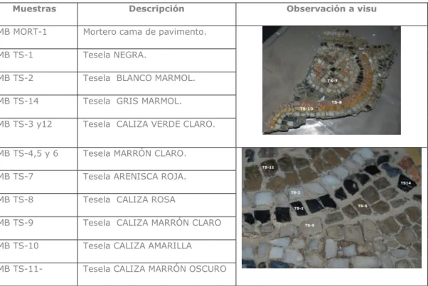 Tabla I. Descripción de muestras 