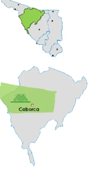 Ilustración 3. Distrito de Riego 037 (Altar-Pitiquito-Caborca). 