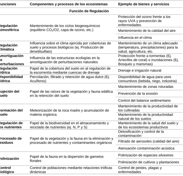 Tabla 4. Funciones, bienes y servicios de los ecosistemas.  