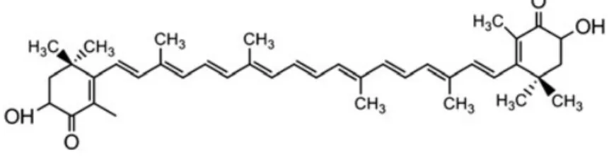 Figure 1. Chemical structure of astaxanthin.