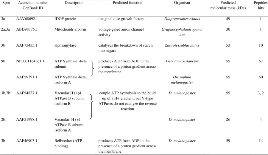 Table 1.Identification of midgut membrane proteins (of intermediate solubility) from Z