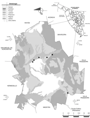 Figura 5. Tipos de suelo. 