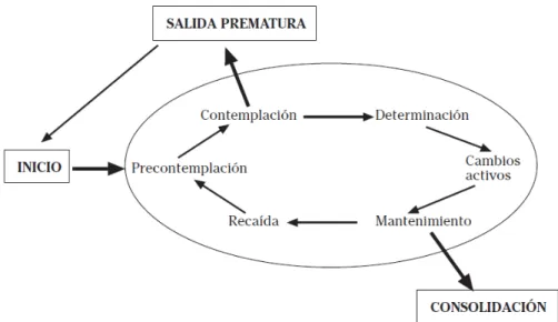 Figura 1. Modelo de estadios de cambio. (Tomada de Lizarraga y Arraya, 2001) 