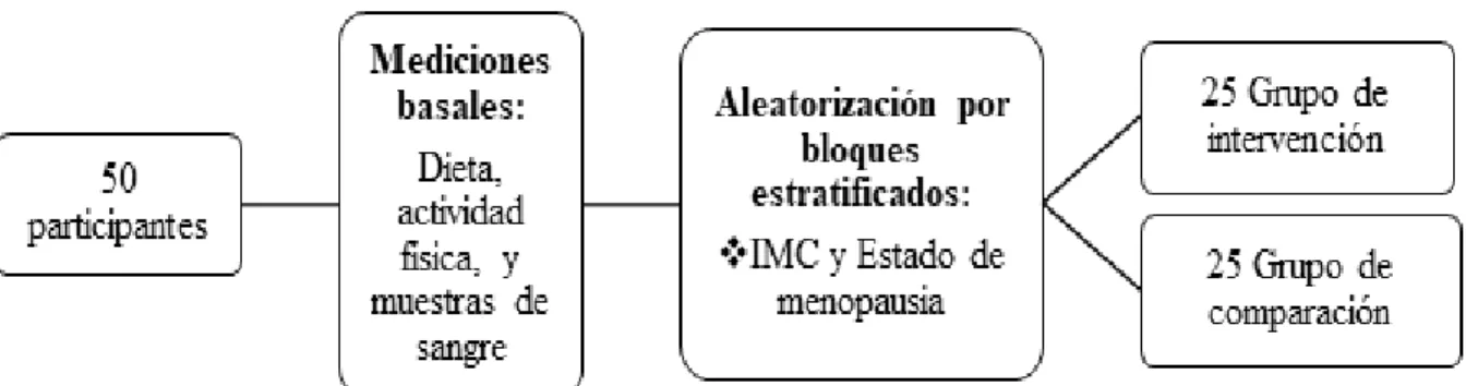 Figura 3. Esquema del diseño de estudio y aleatorización 