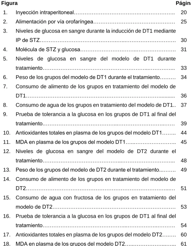Figura                                                                                                          Página   1