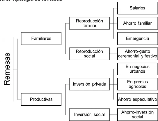 Figura 5. Tipología de remesas 