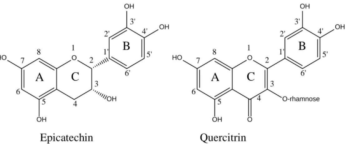 Figure 4. Structure of identified compounds in L. glaucescens extracts 