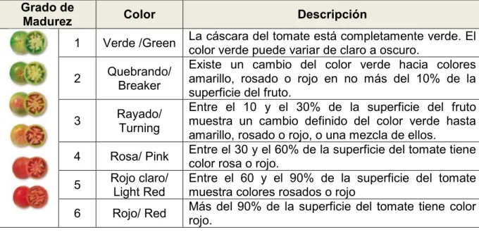 Cuadro 1. Clasificación del color en tomate (USDA, 2012).  