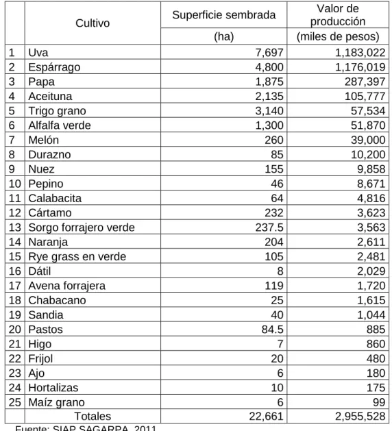 Cuadro 7. Caborca: Patrón de Cultivos, 2010 
