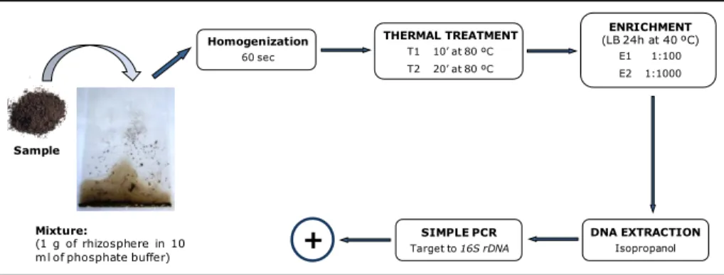 Figure 2.1. Scheme of the protocol used for optimization of the selective enrichment procedure.