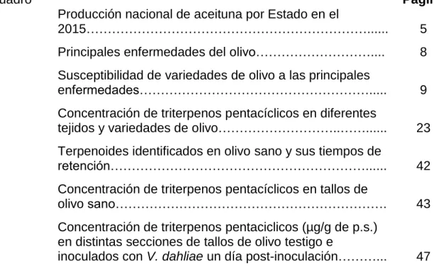 Cuadro  Página 