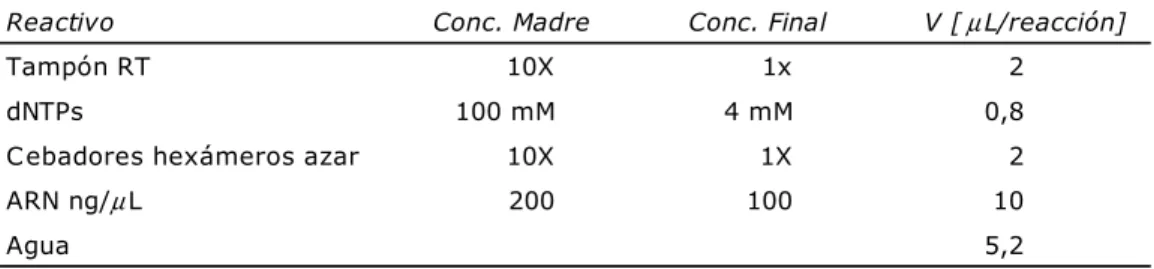 Tabla III.22: Reactivos para una reacción de retrotranscripción 