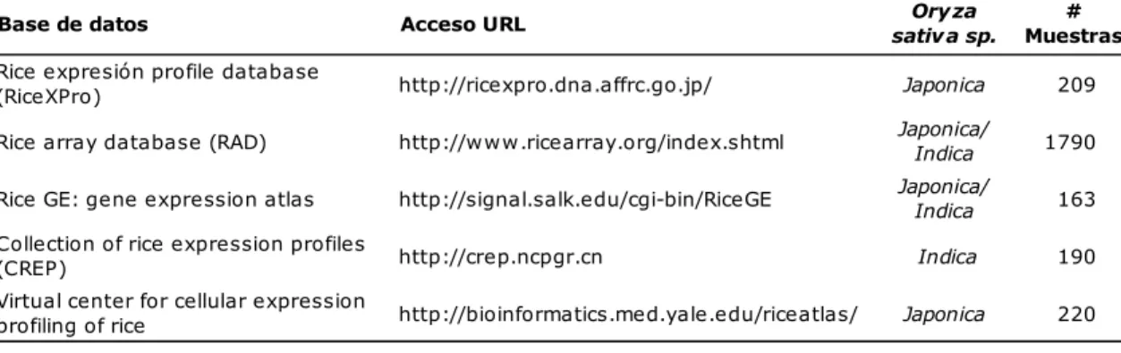 Tabla I.1: Bases de datos de patrones de expresión de arroz 