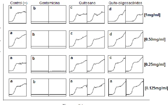 Fig. 7. Comparación del efecto de gentamicina, quitosano y oligómeros de quitosano  en  el  crecimiento  de  V
