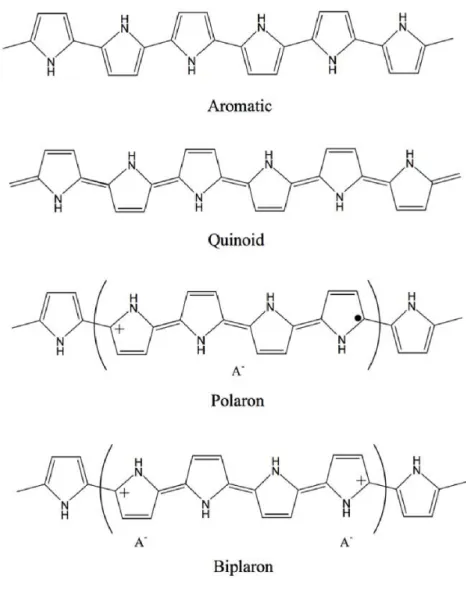 Figure  13  Chemical  structure  of  polypyrrole  in  neutral  aromatic  and  quinoid forms and in oxidized polaron and bipolaron forms