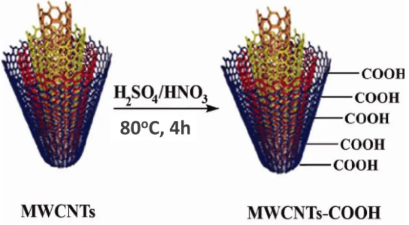 Figure  17  Scheme  of  the  surface  modification  of  MWCNTs (Zare, Lakouraj, Moghadam, & Azimi, 2013) 