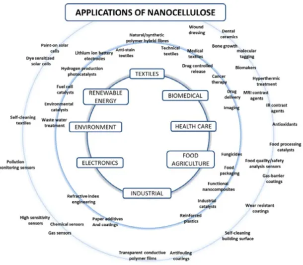 Figure 18 The application of CNF and CNF nanocomposites (Yano, 2011). 