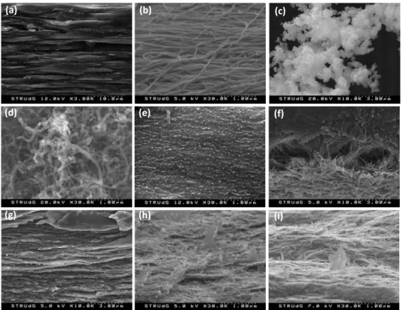 Figure 31 Microstructure surfaces of (a) CNF, (b) BC, (c) PPy, (d) MWCNT- MWCNT-COOH,  (e)  PPy20,  (f),  BC-PPy_3,  (g)  MWCNT10,  (h)   CNF-MWCNT-PPy_B, and (i) CNF-PH500-PPy nanopapers