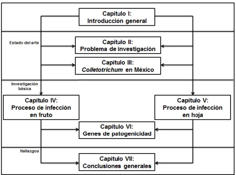 Figura 1. Estructura de la tesis. 