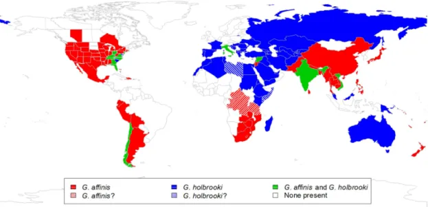 Figure  10:  World  map  of  the  current  distributions  of  G.  holbrooki  and  G.  affinis