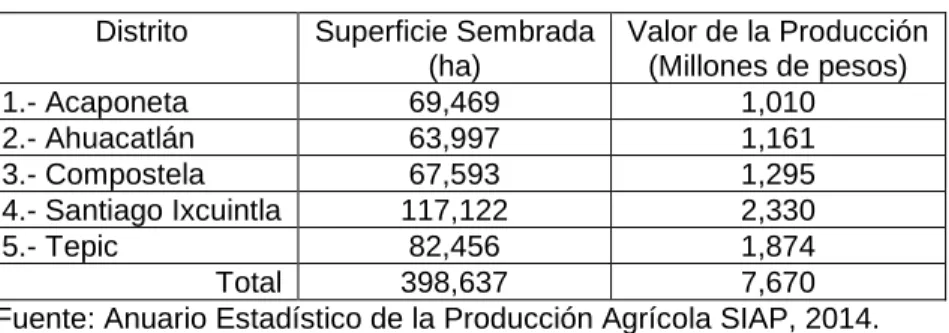 Tabla 8. Superficie Sembrada 2013, Nayarit  Distrito  Superficie Sembrada 