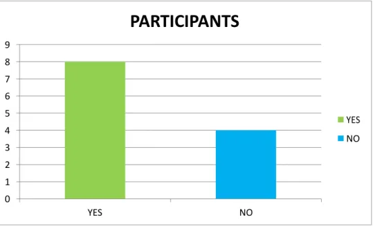 Graph 4.1 Positive and negative opinions about the Research Methodology course (n=12)