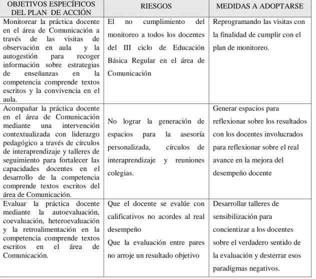 Figura 6. Riesgos y medidas a adoptarse en el Plan de Acción. 