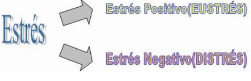 Figura 2: tipos de estrés 