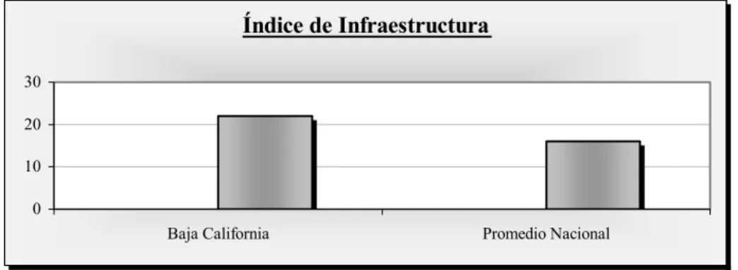 Fig. 6 Índice de infraestructura. 