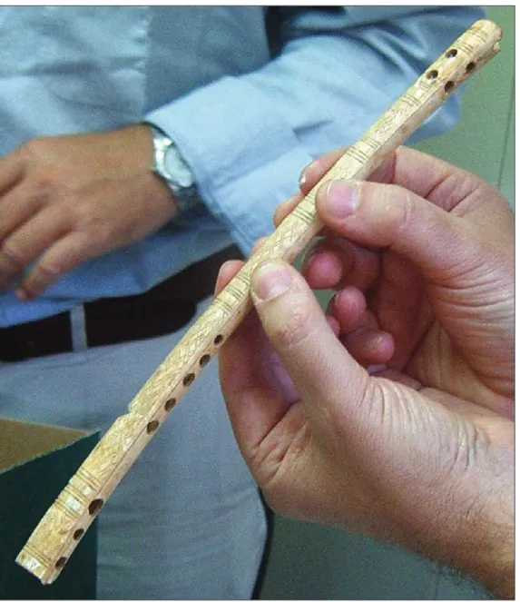 Fig. 4. Hueso decorado (C-11/UE-1194/1452).