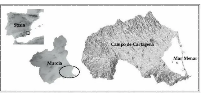 Figure 1. Location of the Mar Menor lagoon 