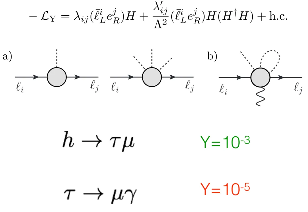 Figure 1: Contributions to the lepton mass matrix and Yukawa interactions (a) and the electromagnetic dipole (b).