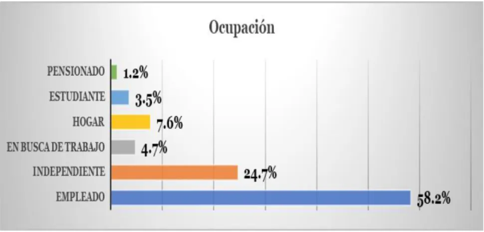 Gráfico 4. Ocupación 