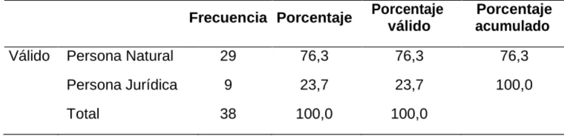 Figura 3   Tipo de empresa 