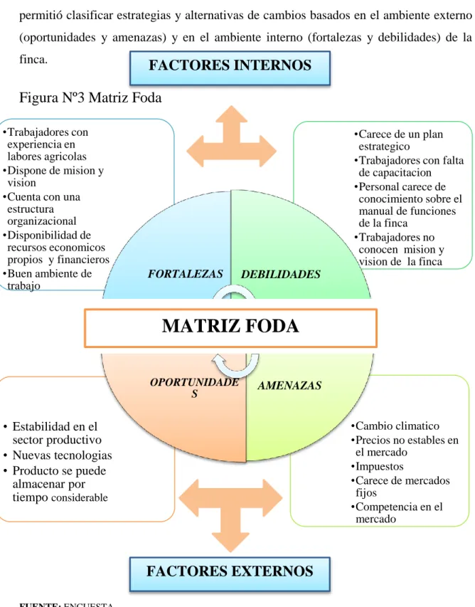 Figura Nº3 Matriz Foda 