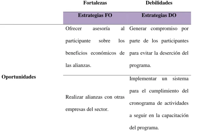 Tabla 2. Matriz general de alternativas estratégicas para el programa capital semilla del IMEBU