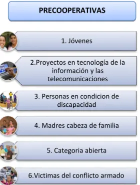 Figura 7. Categorías del programa de capital semilla. 