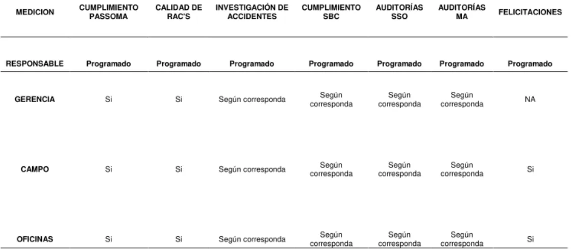 Tabla 15 Programa de medición de desempeño línea de mando de construcción 