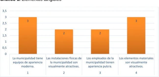 Gráfico 1. Elementos tangibles  