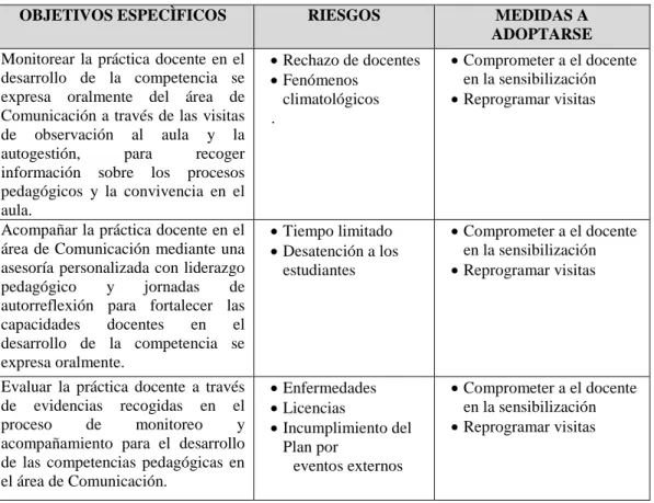 Figura Nº 6. Riesgos y medidas a adoptarse en el Plan de Acción