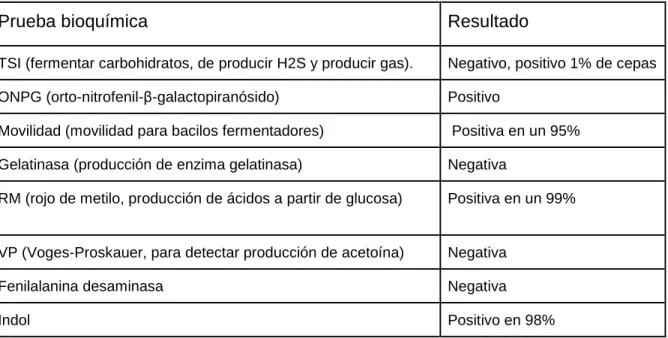 Cuadro 2. Reacción de Escherichia coli en las diversas pruebas bioquímicas para su identificación positiva