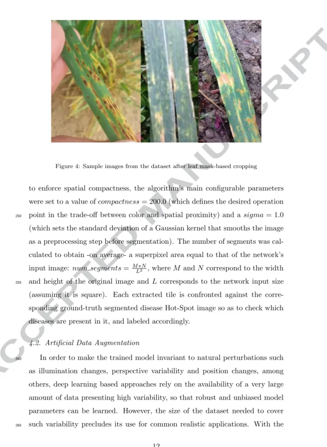 Figure 4: Sample images from the dataset after leaf mask-based cropping