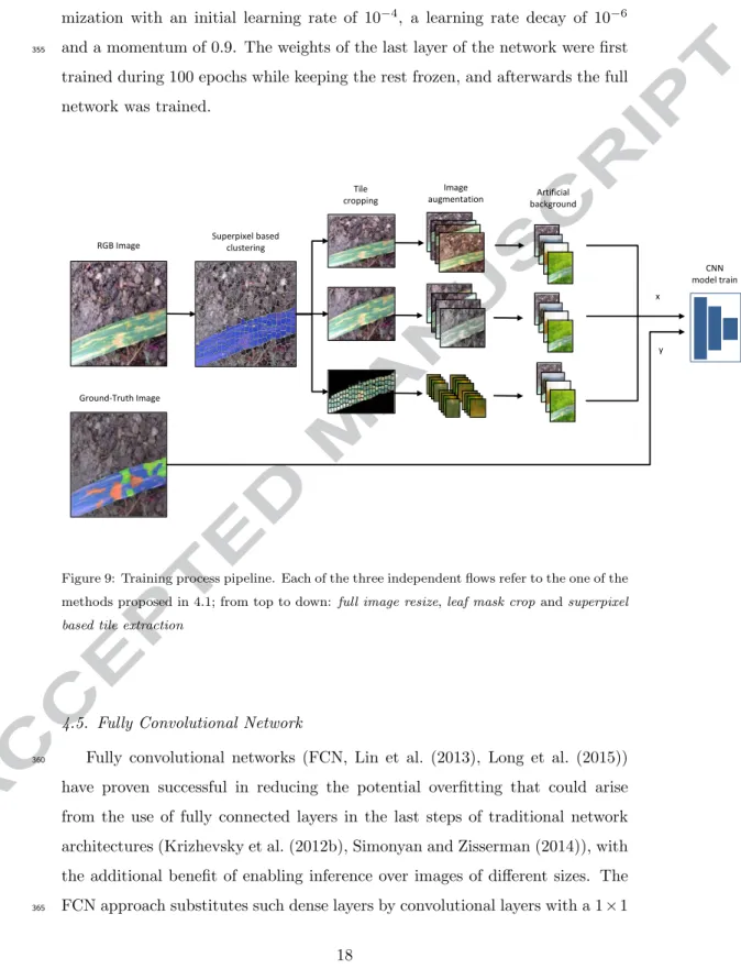 Figure 9: Training process pipeline. Each of the three independent flows refer to the one of the methods proposed in 4.1; from top to down: full image resize, leaf mask crop and superpixel based tile extraction