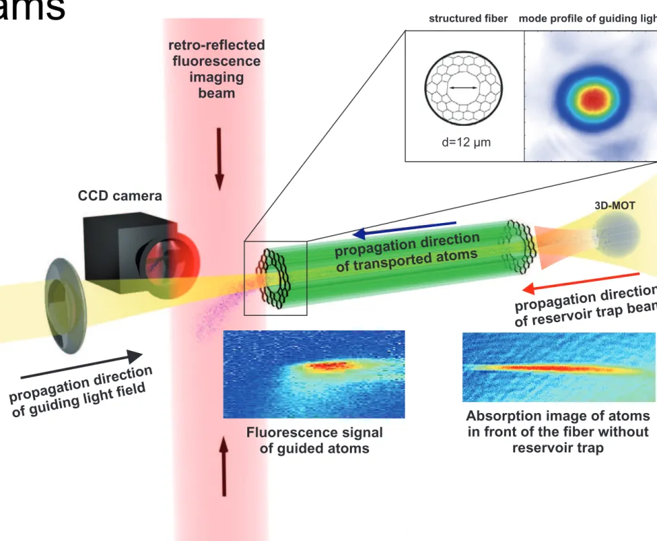 Figure 1. Schematic drawing of the experimental setup. A cloud of laser-cooled atoms is prepared in front of the photonic band gap fiber and moved into the trapping region of the fiber trap by changing the position of the magneto-optical trap (MOT) with an