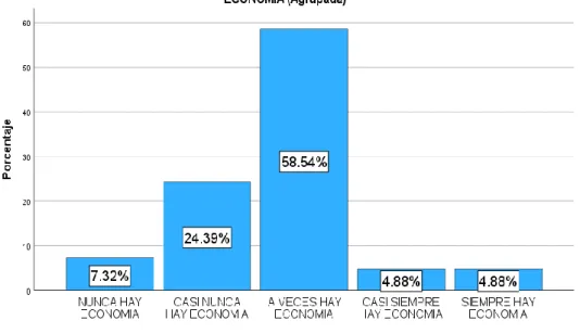 Gráfico N° 5.7  DIMENSION ECONOMIA 