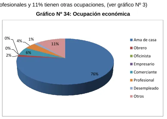 Gráfico Nº 34: Ocupación económica 