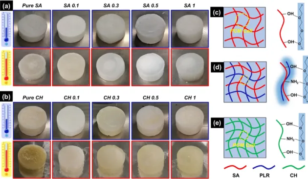 Figure  3.  Form  stability  test  of  the  samples:  (a)  PLR/SA/PEG  group,  (b)  PLR/CH/PEG  group: 