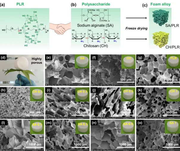 Figure 1. (a) Chemical structure of PLR, (b) Chemical structure of CH and Alginate sodium, (c)  illustration of 3D foams (CH-PLR foams and SA-PLR foams), (d) Image of selected foam alloy on  the leaf to show the lightweight and highly porous nature of the 