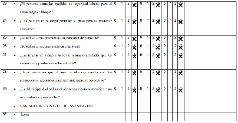 Figura 7. Puntuación del instrumento 