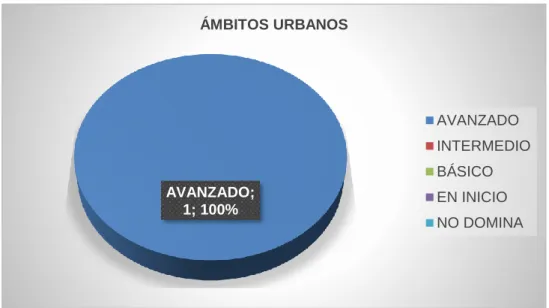 Gráfico 12 Ámbitos urbanos